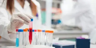 Test tubes in a lab