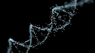 DNA Strand